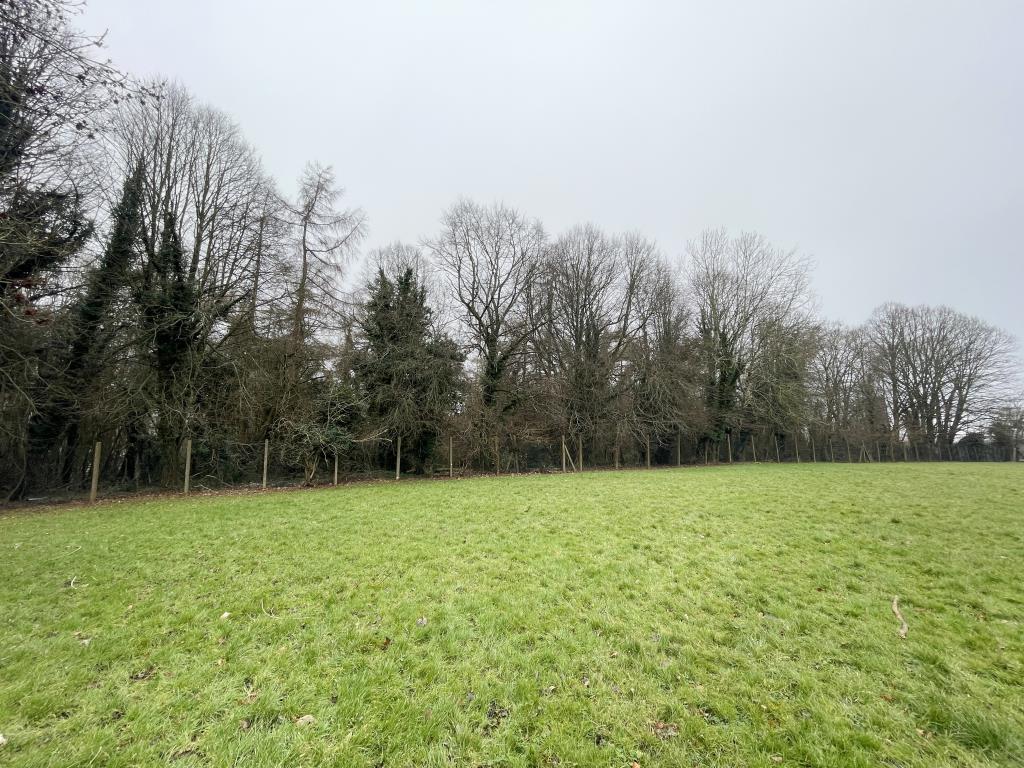 Lot: 70 - WOODLAND EXTENDING TO OVER THREE ACRES - Outside image of boundary from opposite end to picnic area